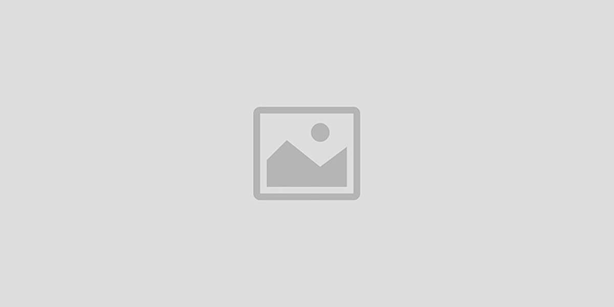 Zalando shopping